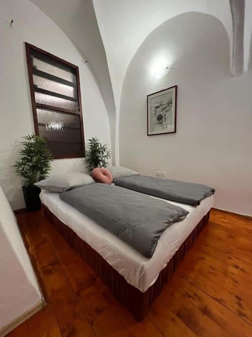 באנסקה ביסטריצה City Center Apartment מראה חיצוני תמונה